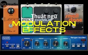 SAMPLE ANH DAI DIEN WEB